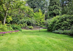 Optimiser l'expérience du jardin à Bargny